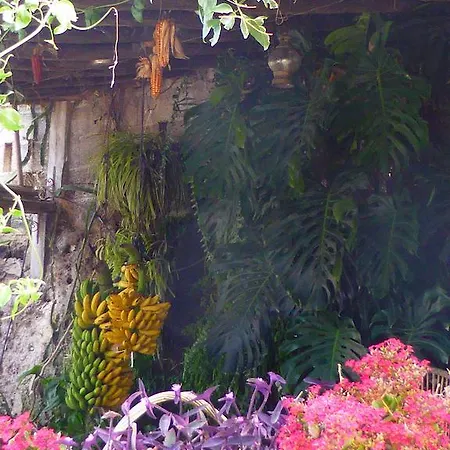 Rural El Navio - Adults Only Hotel Alcala (Tenerife)