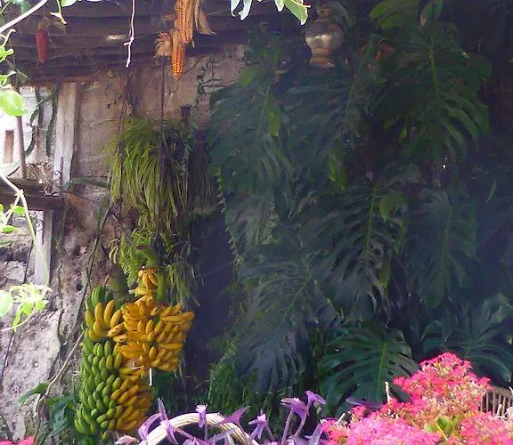 Rural El Navío - Adults Only Hotel Alcalá la Real